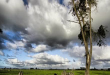 开云体育入口-包含阿塞拜疆队奋勇拼搏,成功晋级的词条