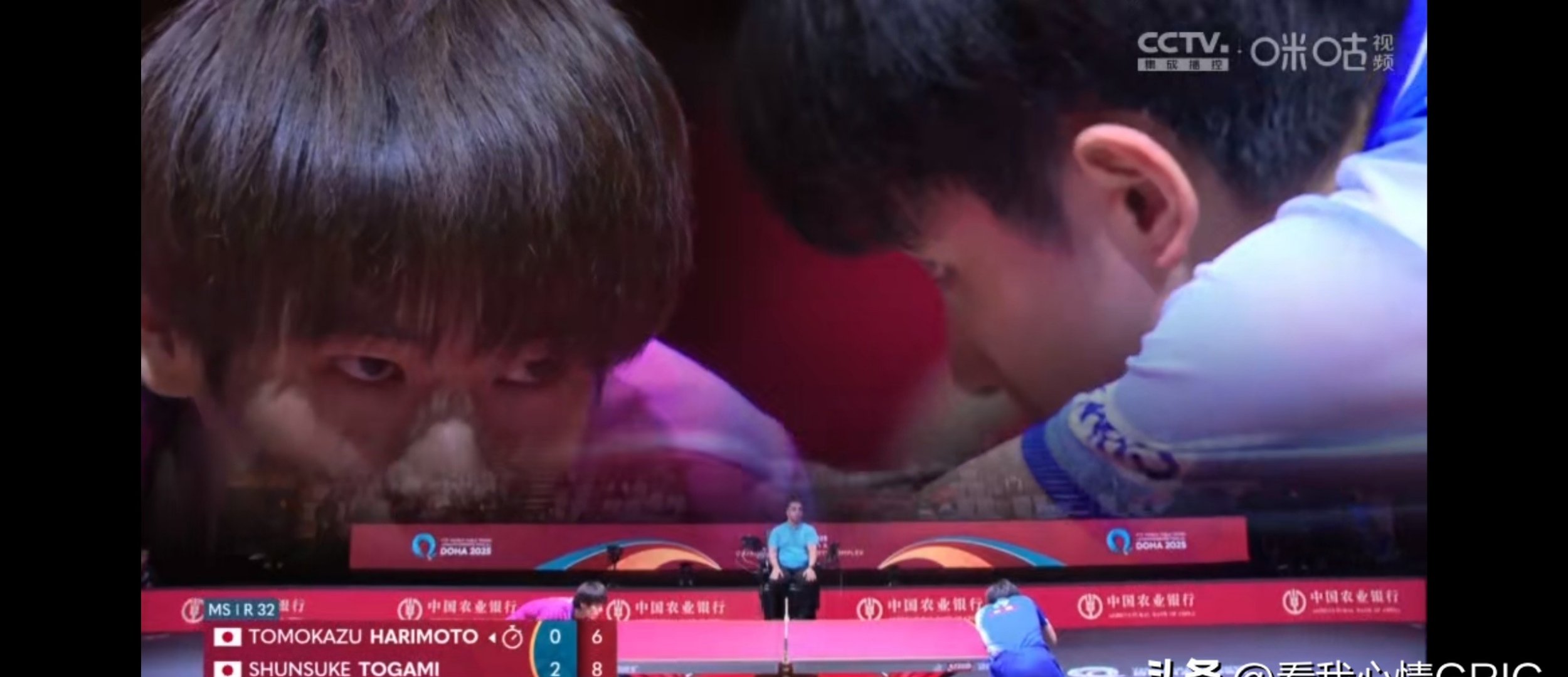 比利时乒乓球队碾压瑞典乒乓球队,张本智和制霸全场 比利时乒乓球队碾压瑞典乒乓球队,张本智和制霸全场