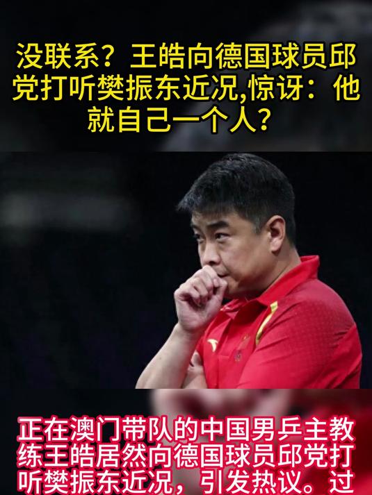 开云体育入口-日本乒乓球队鏖战德国乒乓球队,王皓关键制胜的简单介绍