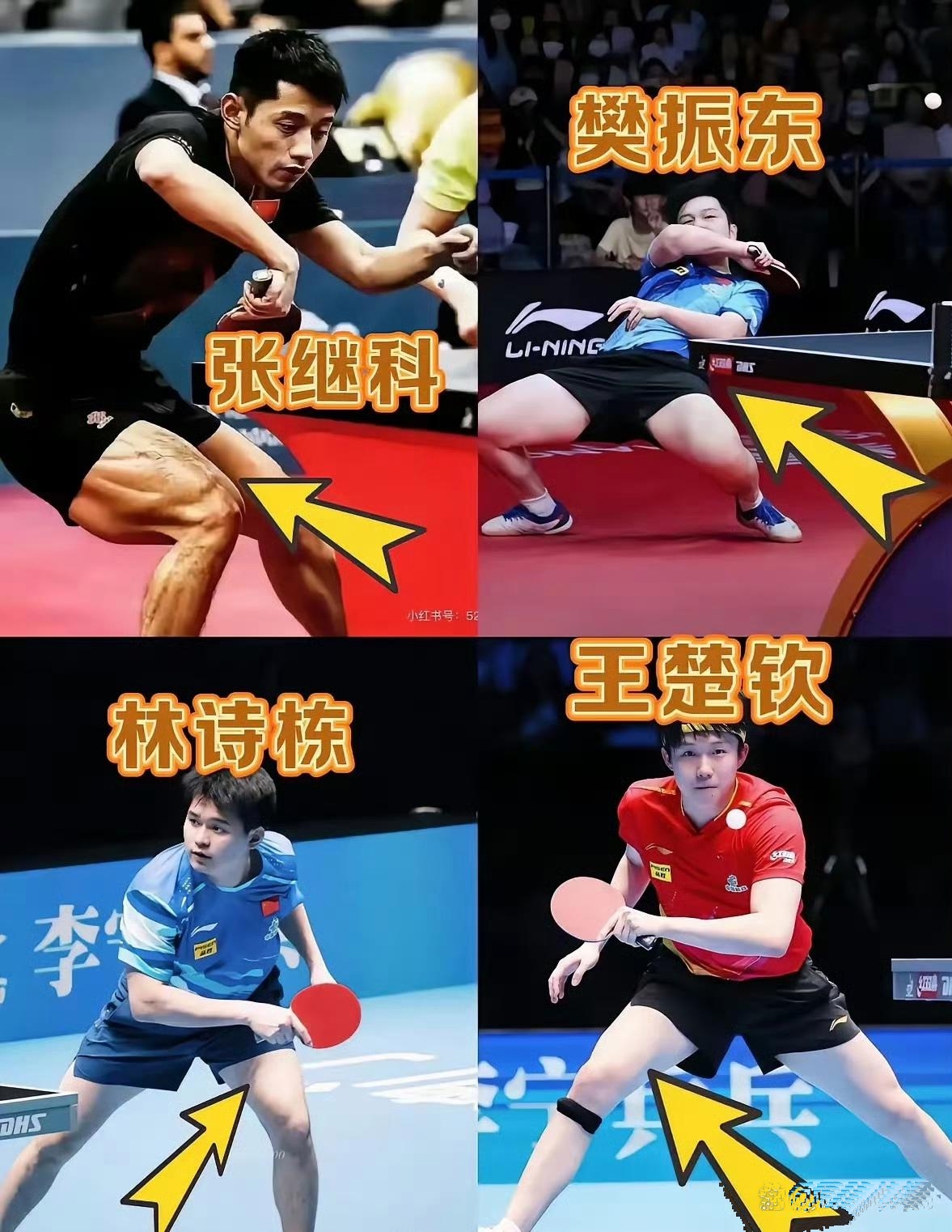 关于比利时乒乓球队逆转英国乒乓球队,张继科统治全场的信息 关于比利时乒乓球队逆转英国乒乓球队,张继科统治全场的信息