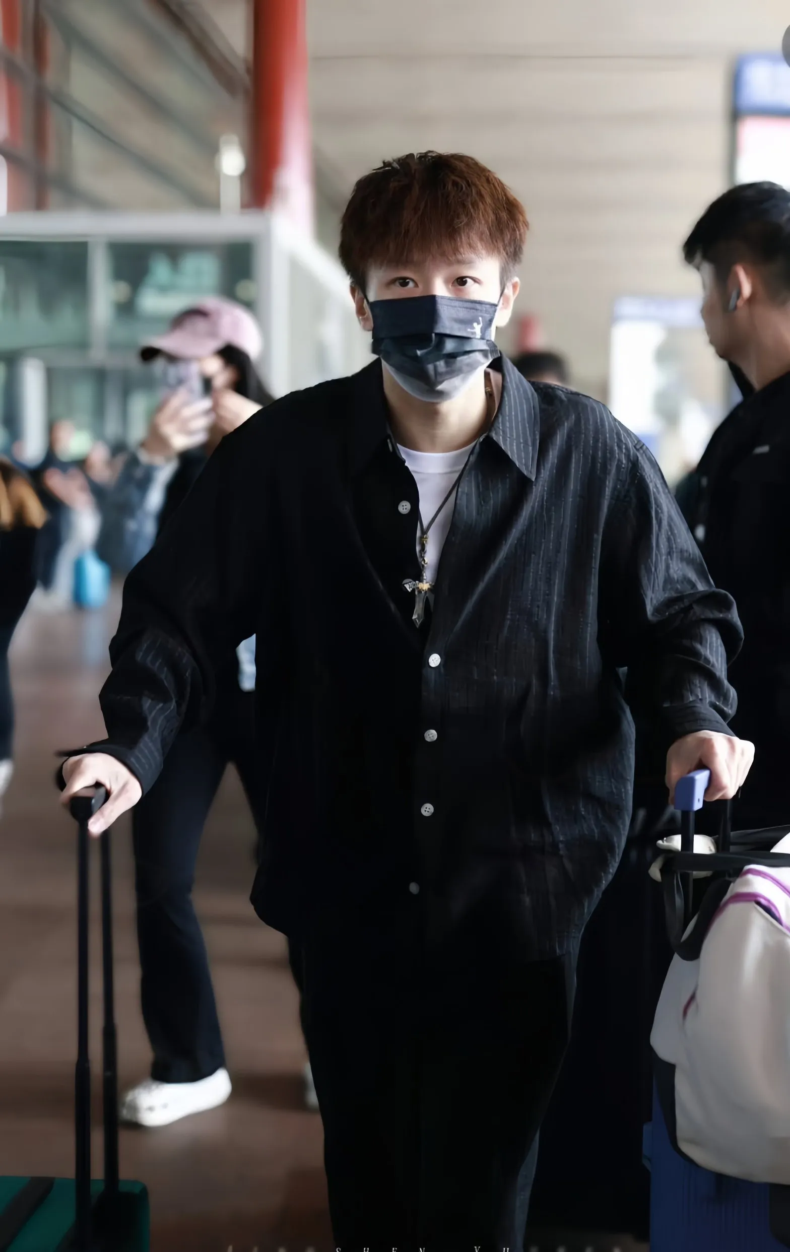 关于奥地利队轻取韩国队,林高远刷新纪录的信息 关于奥地利队轻取韩国队,林高远刷新纪录的信息