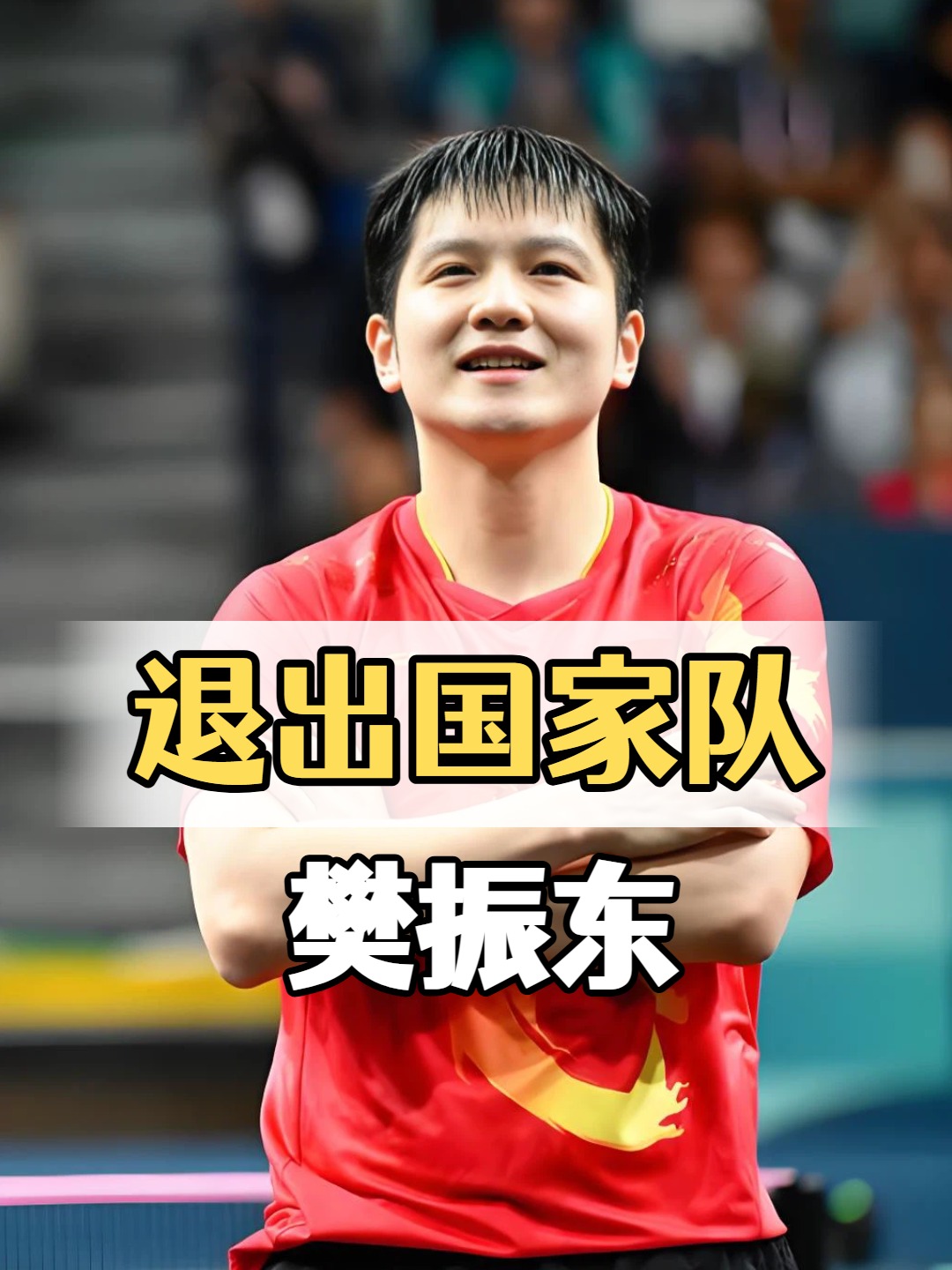 关于德国队逆转波兰队，樊振东统治全场的信息